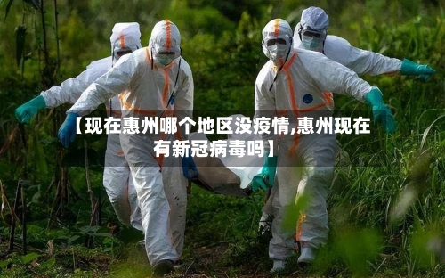 【现在惠州哪个地区没疫情,惠州现在有新冠病毒吗】-第2张图片