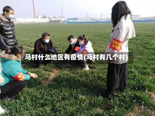 马村什么地区有疫情(马村有几个村)