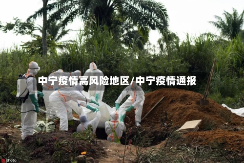 中宁疫情高风险地区/中宁疫情通报-第2张图片