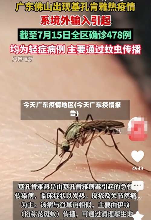 今天广东疫情地区(今天广东疫情报告)