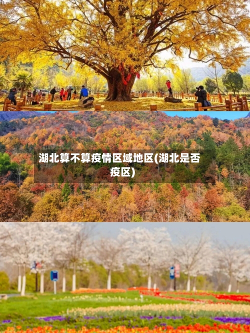 湖北算不算疫情区域地区(湖北是否疫区)-第2张图片