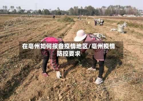 在亳州如何报备疫情地区/亳州疫情防控要求-第2张图片