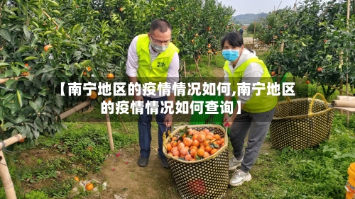 【南宁地区的疫情情况如何,南宁地区的疫情情况如何查询】-第2张图片