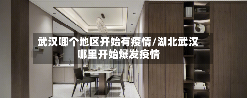 武汉哪个地区开始有疫情/湖北武汉哪里开始爆发疫情-第3张图片