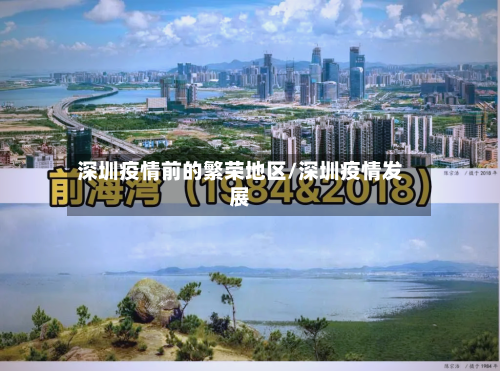 深圳疫情前的繁荣地区/深圳疫情发展