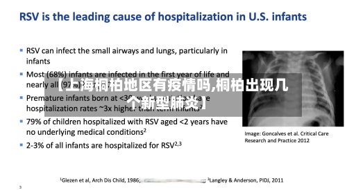 【上海桐柏地区有疫情吗,桐柏出现几个新型肺炎】-第3张图片