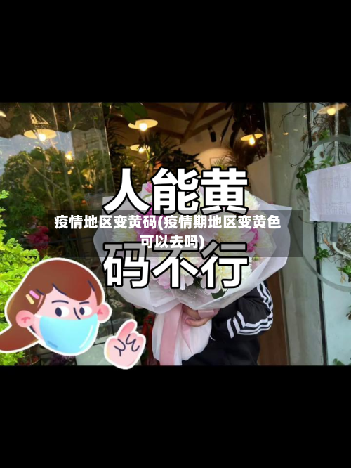 疫情地区变黄码(疫情期地区变黄色可以去吗)-第3张图片