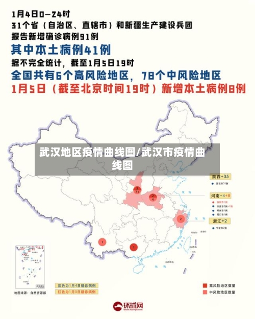 武汉地区疫情曲线图/武汉市疫情曲线图-第2张图片