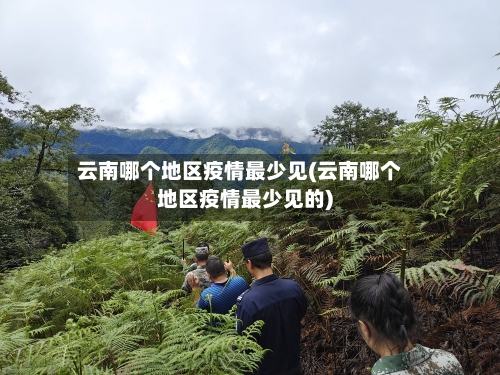云南哪个地区疫情最少见(云南哪个地区疫情最少见的)