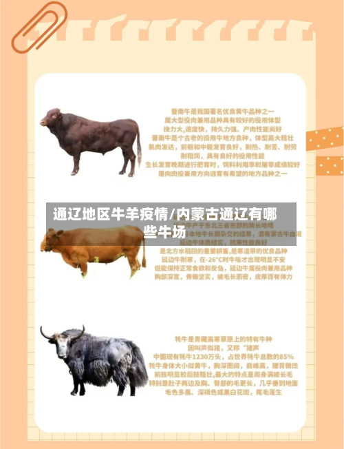 通辽地区牛羊疫情/内蒙古通辽有哪些牛场-第3张图片