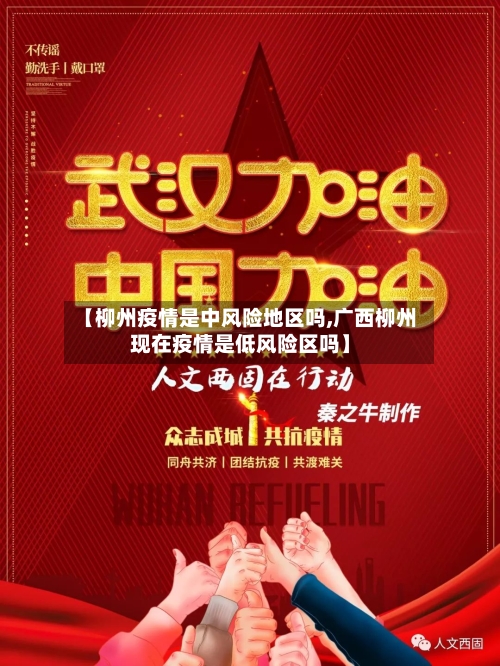 【柳州疫情是中风险地区吗,广西柳州现在疫情是低风险区吗】-第3张图片