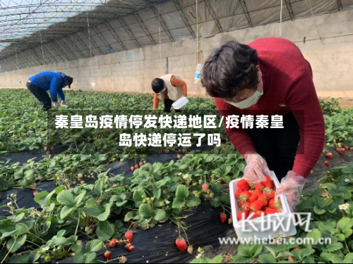 秦皇岛疫情停发快递地区/疫情秦皇岛快递停运了吗-第2张图片
