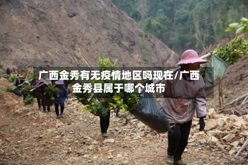 广西金秀有无疫情地区吗现在/广西金秀县属于哪个城市-第2张图片