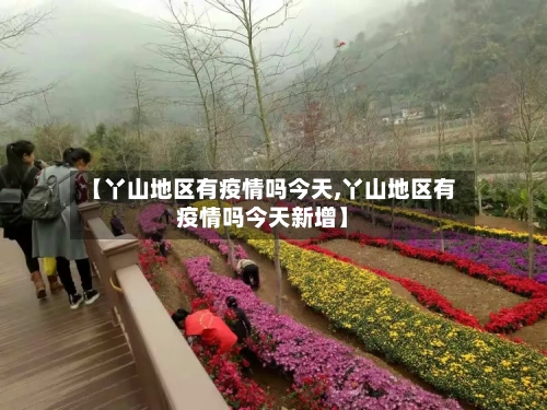 【丫山地区有疫情吗今天,丫山地区有疫情吗今天新增】-第2张图片