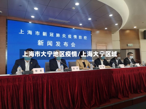 上海市大宁地区疫情/上海大宁区域-第2张图片