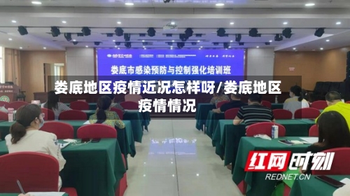 娄底地区疫情近况怎样呀/娄底地区疫情情况-第3张图片