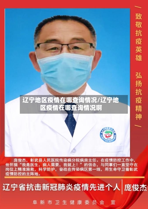 辽宁地区疫情在哪查询情况/辽宁地区疫情在哪查询情况啊-第3张图片
