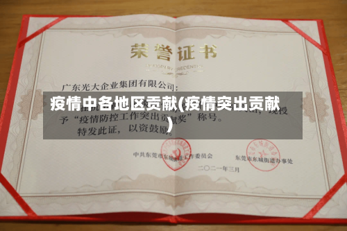 疫情中各地区贡献(疫情突出贡献)-第2张图片