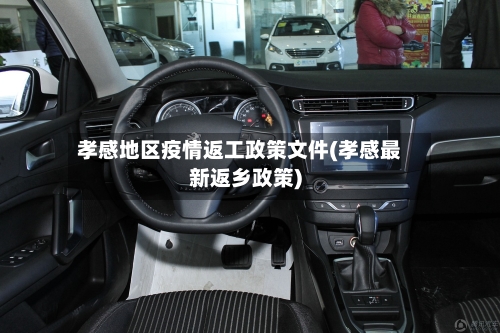 孝感地区疫情返工政策文件(孝感最新返乡政策)-第2张图片