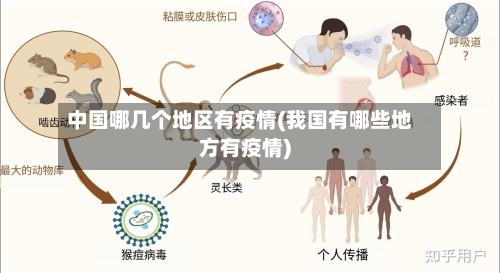 中国哪几个地区有疫情(我国有哪些地方有疫情)-第3张图片