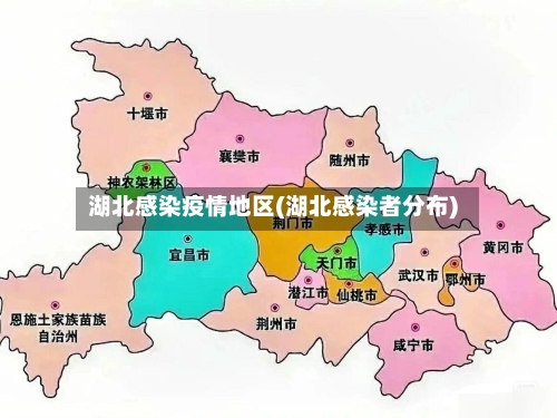湖北感染疫情地区(湖北感染者分布)