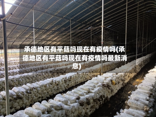 承德地区有平菇吗现在有疫情吗(承德地区有平菇吗现在有疫情吗最新消息)-第2张图片