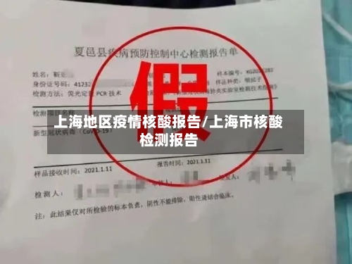 上海地区疫情核酸报告/上海市核酸检测报告-第2张图片