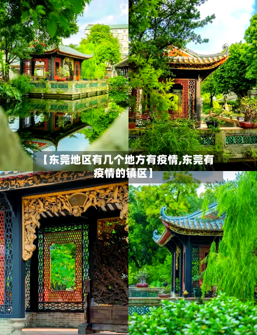 【东莞地区有几个地方有疫情,东莞有疫情的镇区】