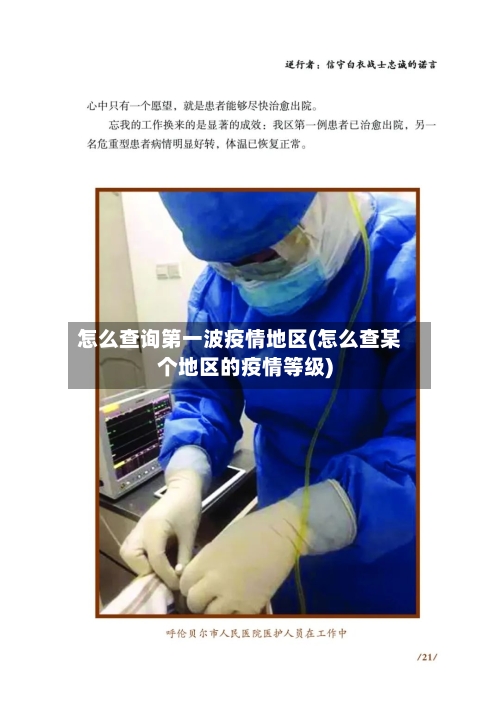 怎么查询第一波疫情地区(怎么查某个地区的疫情等级)