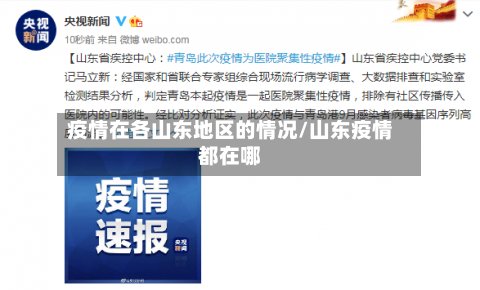 疫情在各山东地区的情况/山东疫情都在哪-第2张图片