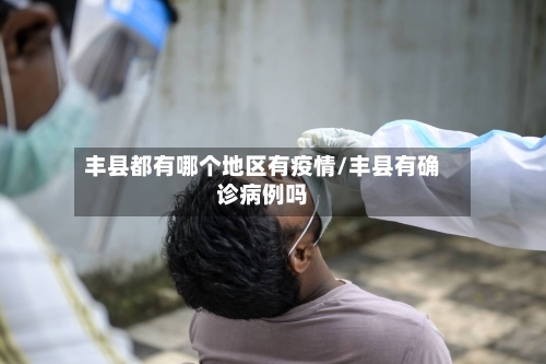 丰县都有哪个地区有疫情/丰县有确诊病例吗-第2张图片