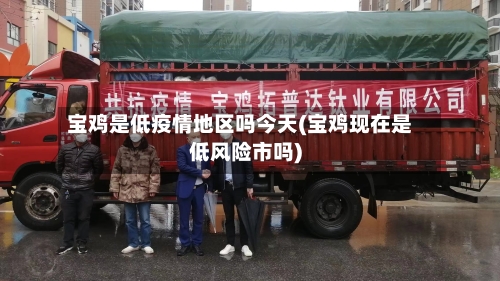 宝鸡是低疫情地区吗今天(宝鸡现在是低风险市吗)