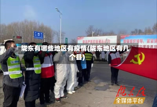陇东有哪些地区有疫情(陇东地区有几个县)