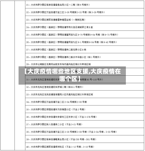 【大庆疫情哪些地区支援,大庆疫情在哪个区】