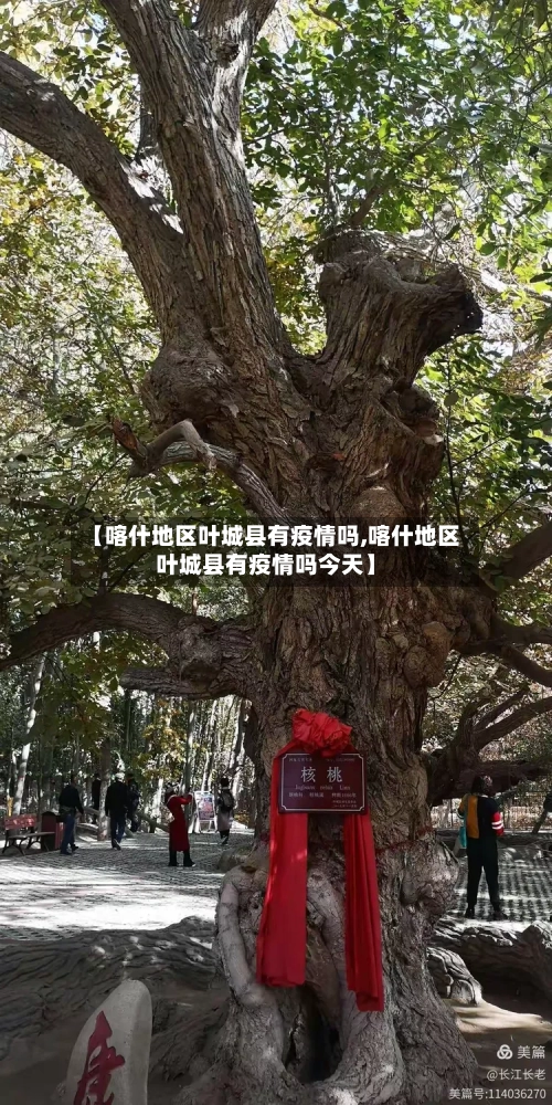 【喀什地区叶城县有疫情吗,喀什地区叶城县有疫情吗今天】-第3张图片