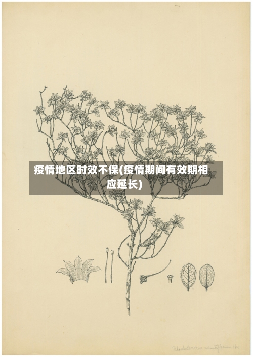 疫情地区时效不保(疫情期间有效期相应延长)