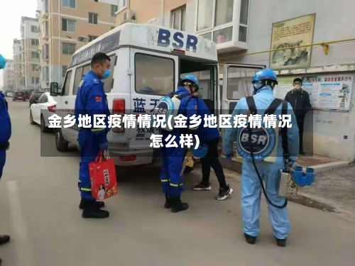 金乡地区疫情情况(金乡地区疫情情况怎么样)-第2张图片
