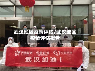 武汉地区疫情评估/武汉地区疫情评估报告-第3张图片