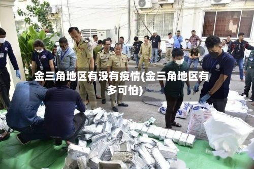 金三角地区有没有疫情(金三角地区有多可怕)