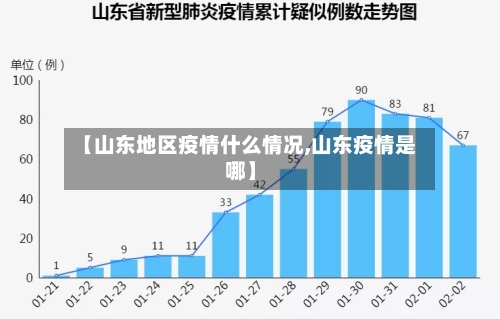 【山东地区疫情什么情况,山东疫情是哪】