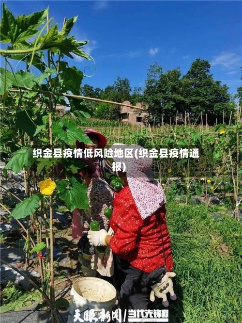 织金县疫情低风险地区(织金县疫情通报)-第3张图片