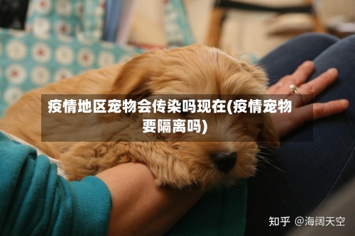 疫情地区宠物会传染吗现在(疫情宠物要隔离吗)