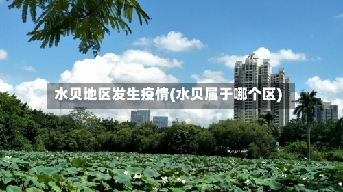 水贝地区发生疫情(水贝属于哪个区)