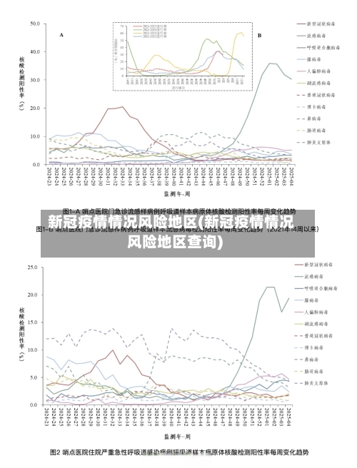 新冠疫情情况风险地区(新冠疫情情况风险地区查询)-第2张图片