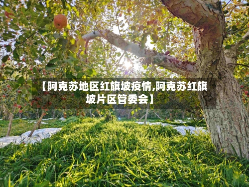 【阿克苏地区红旗坡疫情,阿克苏红旗坡片区管委会】-第2张图片