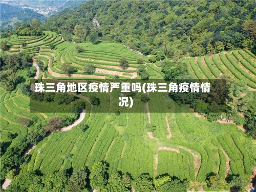 珠三角地区疫情严重吗(珠三角疫情情况)-第3张图片