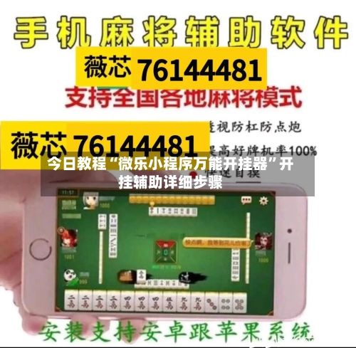 今日教程“微乐小程序万能开挂器”开挂辅助详细步骤-第3张图片