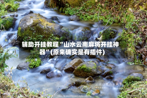 辅助开挂教程“山水云南麻将开挂神器	”(原来确实是有插件)-第2张图片