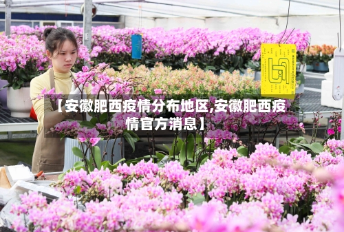 【安徽肥西疫情分布地区,安徽肥西疫情官方消息】-第2张图片