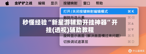 秒懂经验“新星游辅助开挂神器”开挂(透视)辅助教程-第3张图片